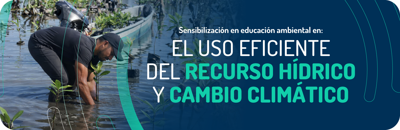 Sensibilización