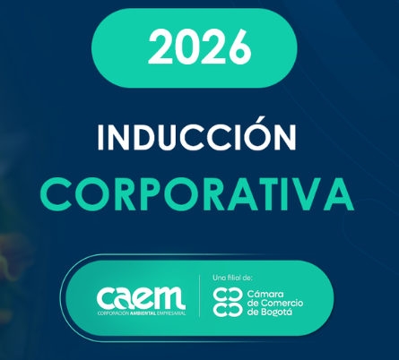 INDUCCIÓN